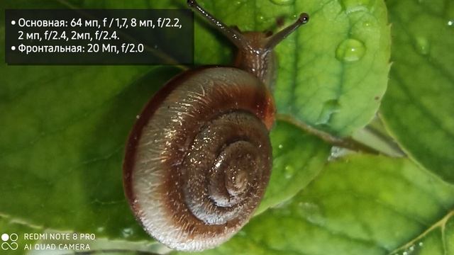 Смартфон Redmi Note 8 PRO. Обзор ТОП новинки! ??? смотреть онлайн