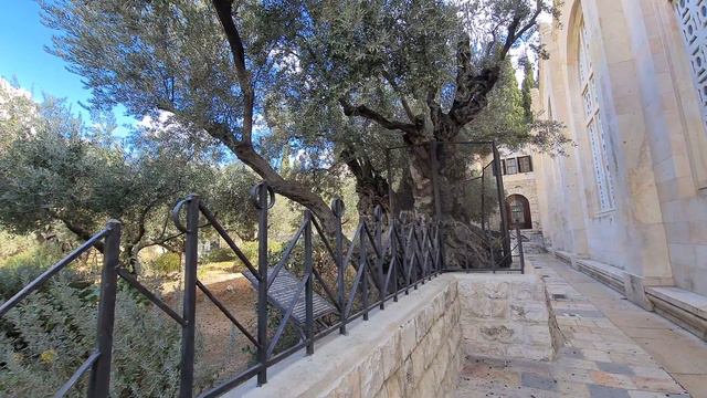 To be with Jesus during his difficult hours in Gethsemane, Jerusalem - The Basilica of the Agony смотреть онлайн