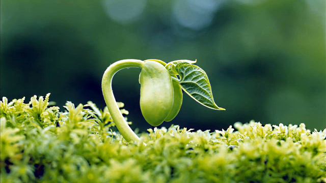 Bryson Andres-Secrets смотреть онлайн