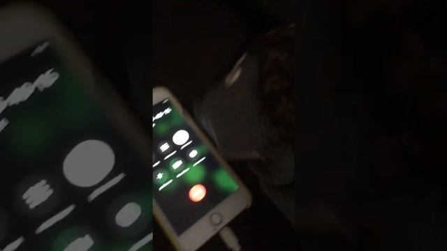 Ежик Боря идет на массаж