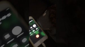 Ежик Боря идет на массаж