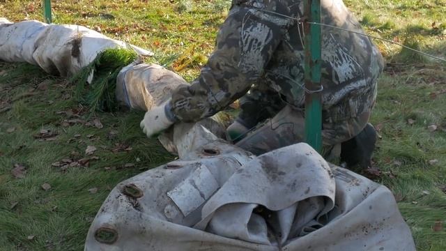 Укрытие винограда осенью. Как и когда укрывать виноград на зиму. смотреть онлайн