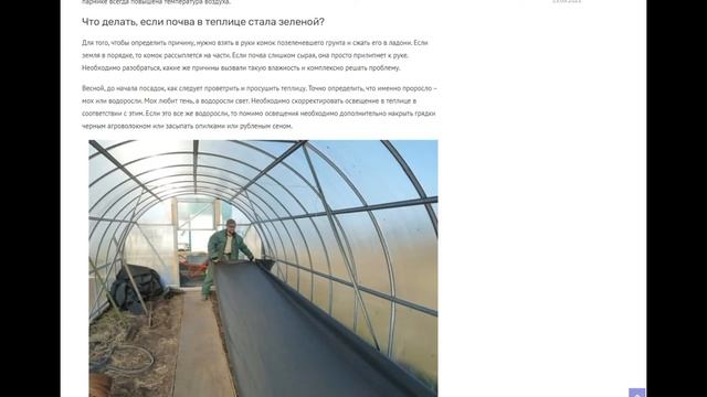 Что делать, если земля в теплице позеленела: причины появления зелени в парнике, как избавиться смотреть онлайн