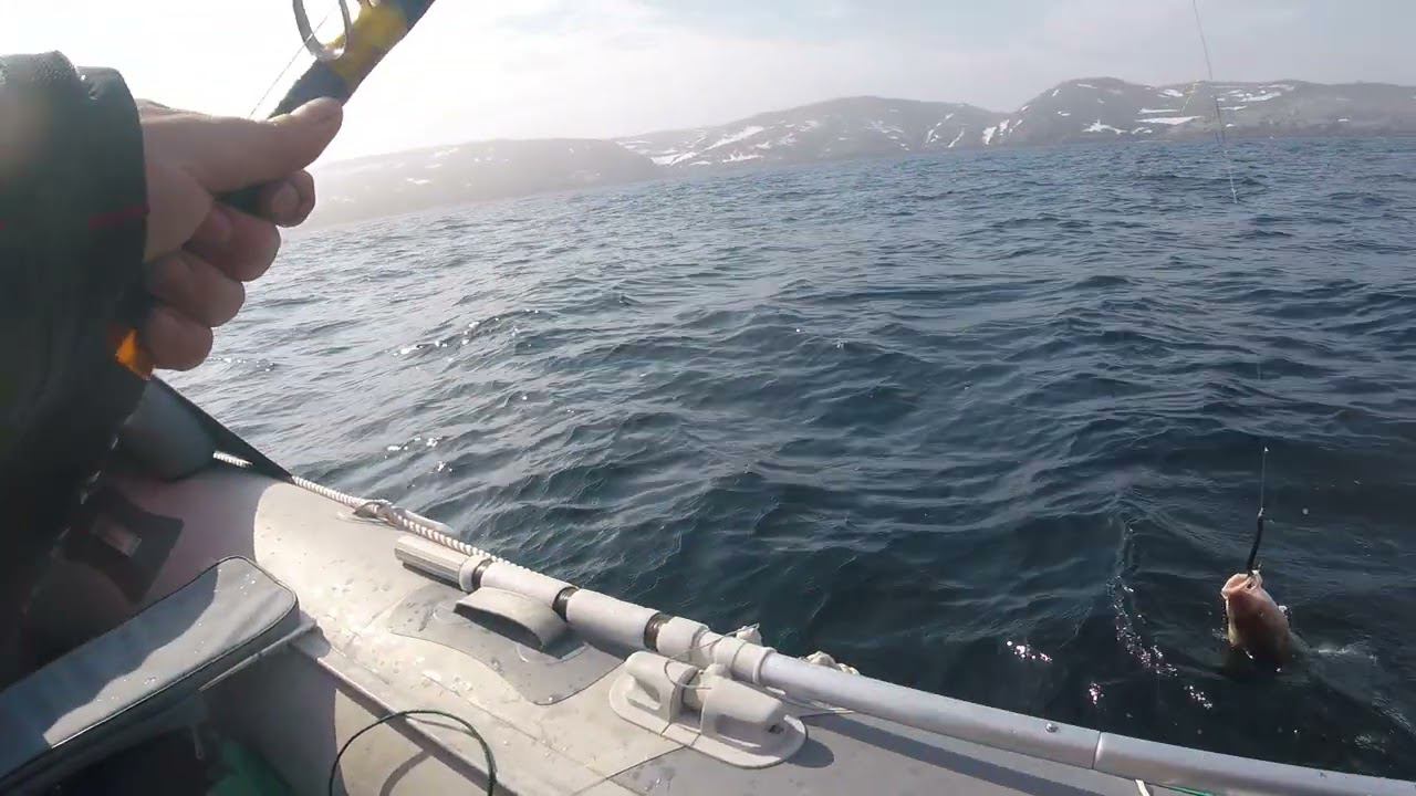 GOPR2326 смотреть онлайн
