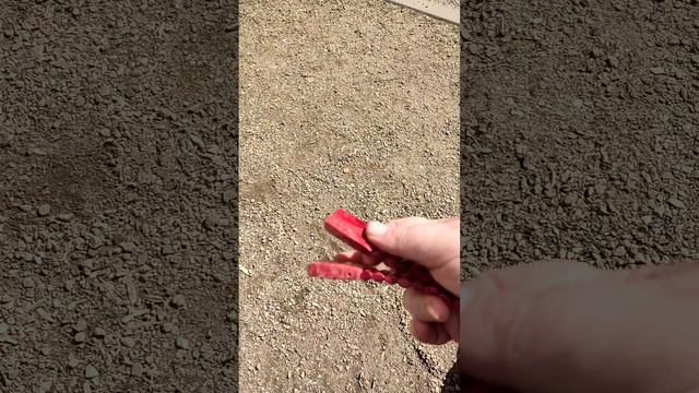 Карельская береза