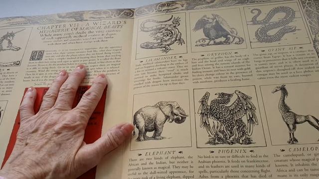 Wizardology book flip thru смотреть онлайн