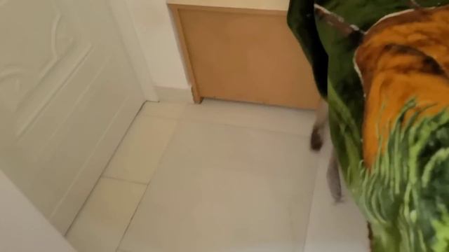 Будущее Ники и Луны!! Что их ожидает?!?! Всем хорошего настроения 10.01.24 смотреть онлайн