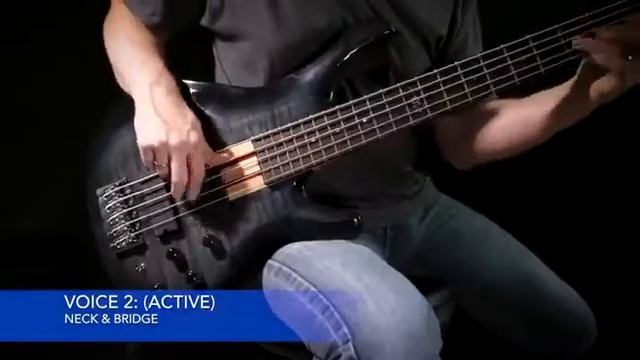 Fishman PRF-BS5-NB1 Fluence Pickups 5-String Bass Soapbar Single, Black Plastic Reviews смотреть онлайн