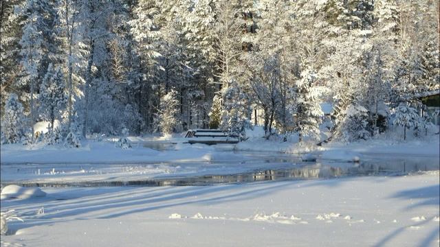 Рождественская сказка