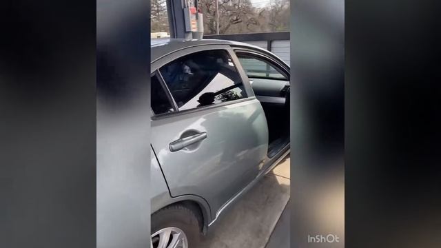 Приехали пылесосить машину. смотреть онлайн