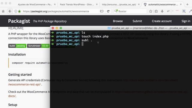 Cómo usar la REST API WooCommerce смотреть онлайн