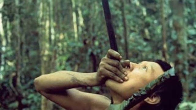 AMAZZONIA di Eugenio D'antoni смотреть онлайн