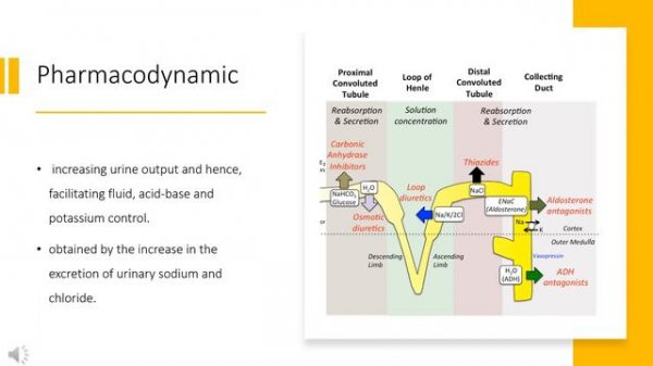 #torsemide | Uses, Dosage, Side Effects & Mechanism | Torsemide