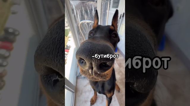 Идеально смотреть онлайн