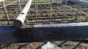 Как правильно накрыть  теплицу из дерева плёнкой что бы защитить от гниения и продлить срок службы