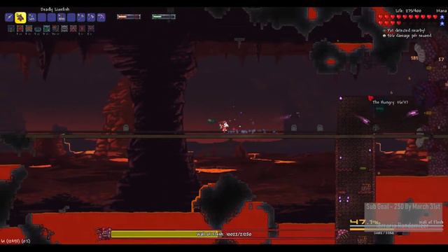 Terraria Calamity DAD # 7 - Suffering смотреть онлайн