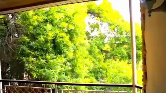 Продам квартиру в Одессе - исторический центр города - Buy Apartment in Odessa - $280000 смотреть онлайн
