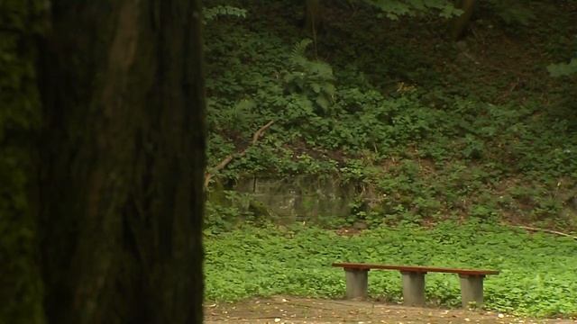 CITTASLOW NOWE MIASTO LUBAWSKIE смотреть онлайн