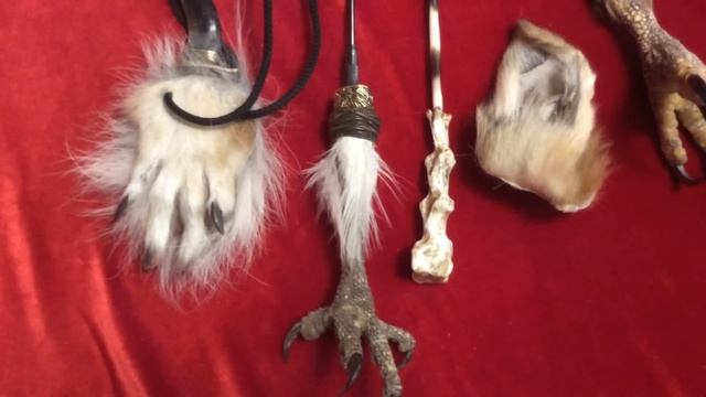 Магические атрибуты из частей тела животных смотреть онлайн