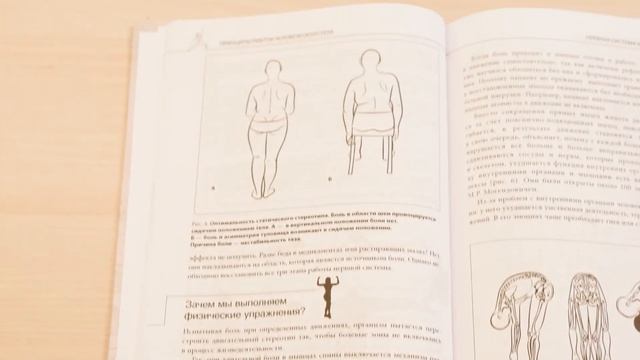 Прикладная кинезиология. Восстановление тонуса и функций скелетных мышц