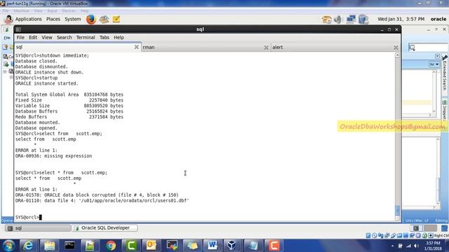 Demo on How to repair an Oracle BLOCK смотреть онлайн