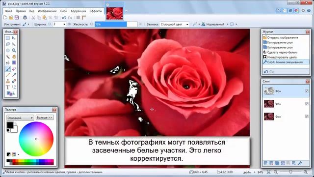 ТУСКЛЫЕ ЦВЕТА НА ФОТОГРАФИИ смотреть онлайн