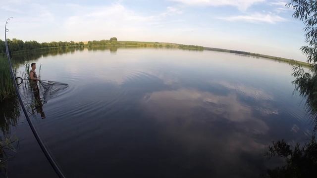 Спортивный карпфишинг. Пруд Голодяевский. Дикие карпы! Поймал-отпусти смотреть онлайн