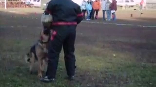 РАБОТА НА ЗАДЕРЖАНИЕ 2 смотреть онлайн