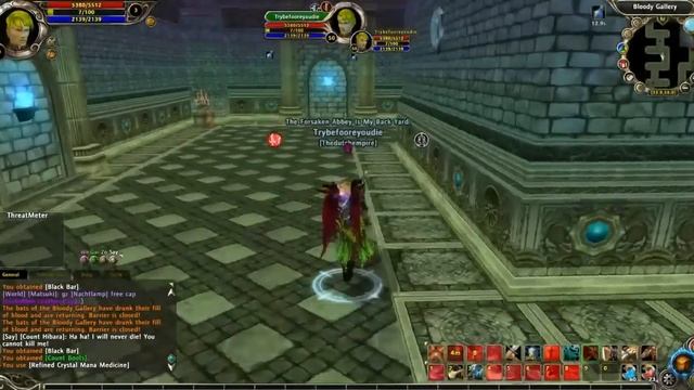 Runes of Magic - Bloody Gallery Solo смотреть онлайн