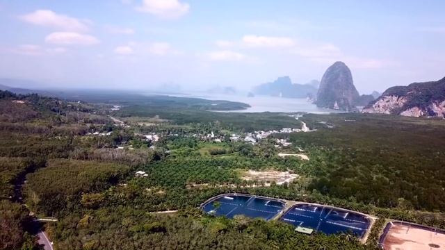 Toh Li Viewpoint смотреть онлайн