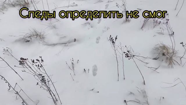 Самоизоляция и поиск старых дорог смотреть онлайн