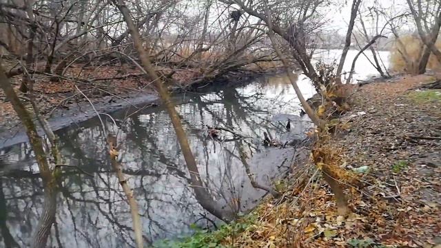 Травим реку Дон. смотреть онлайн