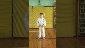 Экзамен на желтый пояс Тхэквондно. На 9 гуп