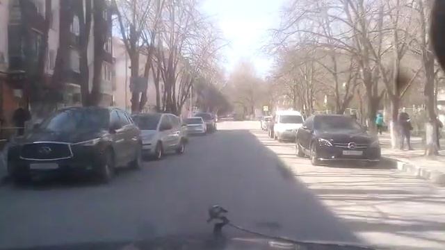 Если нет зебры на перекрёстке - или идиот против пешеходов смотреть онлайн