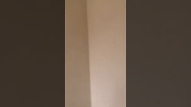 Завершение работы по оклейке обоев Golden Garden Краснодаре смотреть онлайн