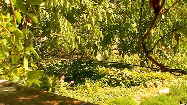 ХУДЕЮ ЗА МЕСЯЦ ЛЕГКО С ТАКИМ РЕЦЕПТОМ 26.08.2017 смотреть онлайн