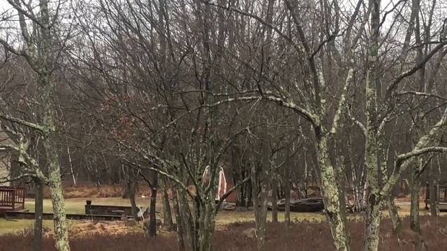 ЖИЗНЬ В АМЕРИКЕ #ВЛОГ ПРИЯТНЫЕ ХЛОПОТЫ КУПИТЬ ДОМ? смотреть онлайн