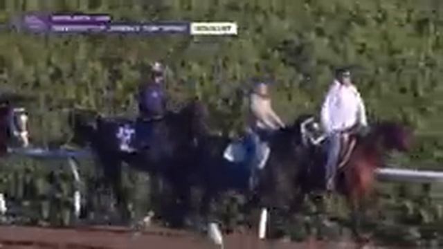 FanDuel's Breakfast at the Breeders' Cup, 11/2/23 смотреть онлайн