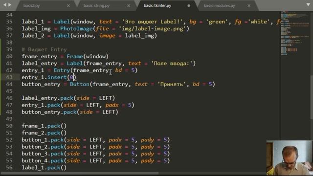 Библиотека Tkinter. Виджет Entry. Добавляем подсказку в поле ввода смотреть онлайн