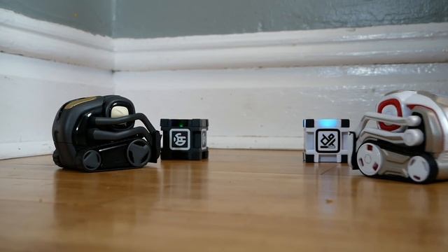 Cozmo Meets Vector