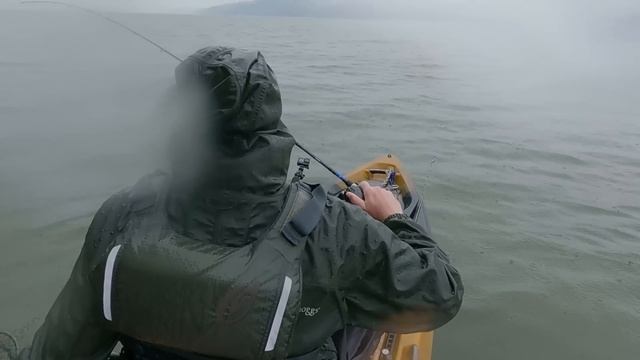 FISHING for $20k!! BASSMASTER Kayak Championship 2023!! Day 1 смотреть онлайн