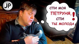 ✅ КОЛЫБЕЛЬНАЯ для попугая ЖАКО ПЕТРУНЯ