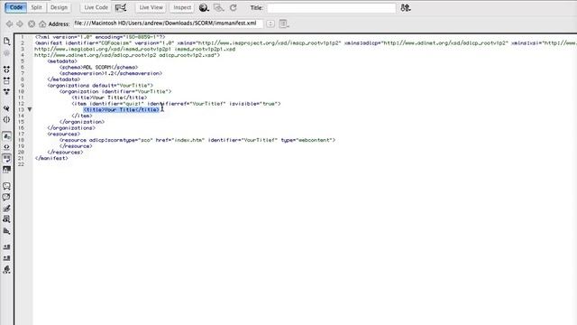 Using the SCORM Wrapper with Flash Games and Quizzes смотреть онлайн