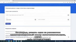 Отчетность в статистику (Росстат) по ИНН: как узнать какие отчеты сдавать