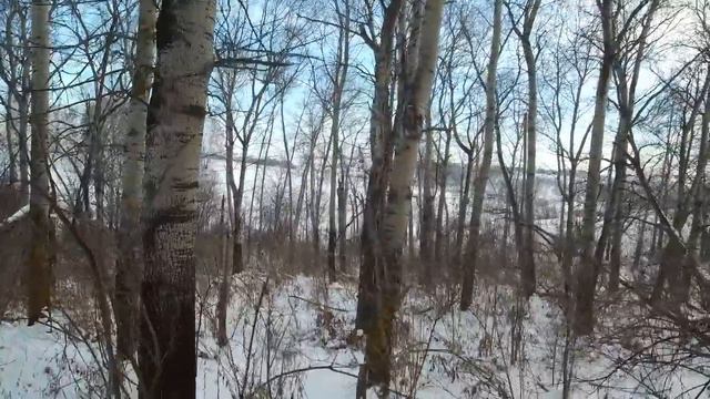 Верхом на конях за ягодой по снегу // Жизнь в деревне смотреть онлайн