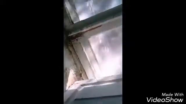 VLOG Лезем в заброшку