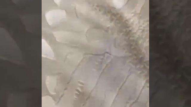 Как очистить диван от шариковой ручки смотреть онлайн