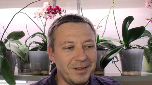 ОРХИДЕИ фаленопсисы видео ответы на вопросы и ПРО СУПЕР ГРУНТ НОВИНКУ для ОРХИДЕЙ (пеностекло) смотреть онлайн