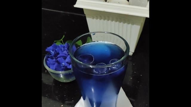 Butterfly Pea Flower Tea | Blue And Purple Iced Tea | Katarolu Flower Tea | Iced Tea | Blue Tea