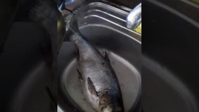 Як легко почистити толстолоба смотреть онлайн